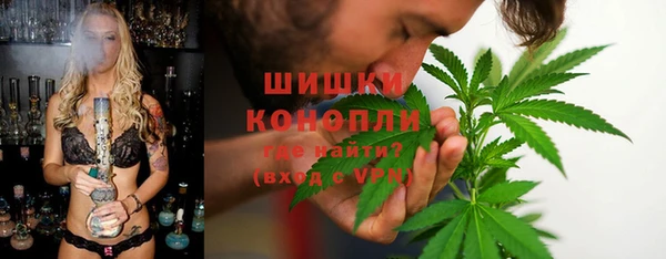 прущие грибы Беломорск