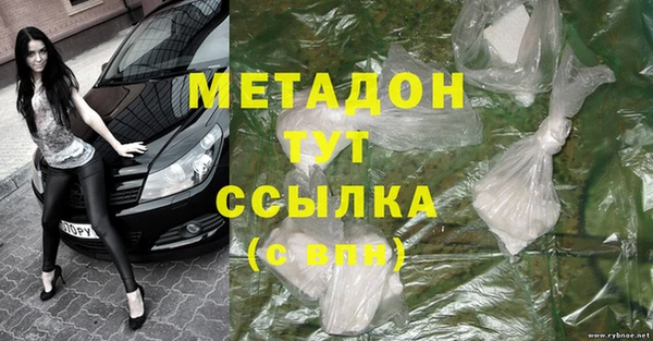 прущие грибы Беломорск
