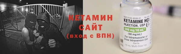 прущие грибы Беломорск