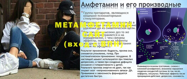 прущие грибы Беломорск