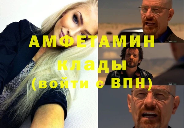 прущие грибы Беломорск