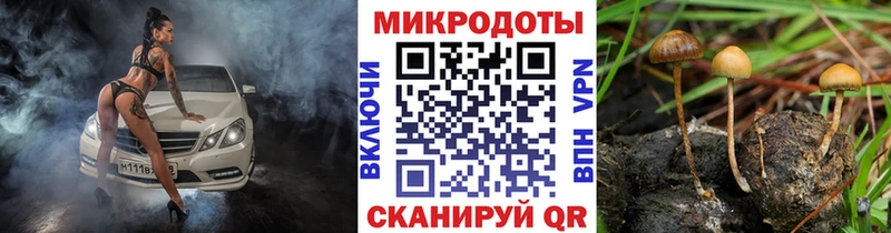 Галлюциногенные грибы MAGIC MUSHROOMS  Советский 